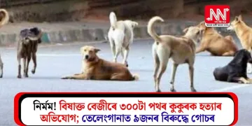 নিৰ্মম! বিষাক্ত বেজীৰে ৩০০টা পথৰ কুকুৰক হত্যাৰ অভিযোগ; তেলেংগানাত ৯জনৰ বিৰুদ্ধে গোচৰ