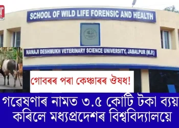 গোবৰৰ পৰা কেঞ্চাৰৰ ঔষধ! গৱেষণাৰ নামত ৩.৫ কোটি টকা ব্যয় কৰিলে মধ্যপ্ৰদেশৰ বিশ্ববিদ্যালয়ে