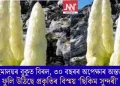 হিমালয়ৰ বুকুত বিৰল, ৩০ বছৰৰ অপেক্ষাৰ অন্তত ফুলি উঠিছে প্ৰকৃতিৰ বিস্ময় ‘ছিকিম সুন্দৰী’