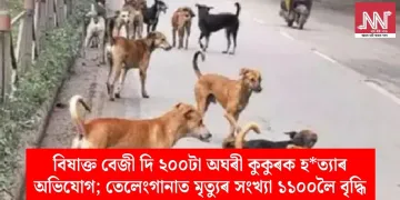 বিষাক্ত বেজী দি ২০০টা অঘৰী কুকুৰক হত্যাৰ অভিযোগ; তেলেংগানাত মৃত্যুৰ সংখ্যা ১১০০লৈ বৃদ্ধি