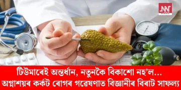টিউমাৰেই অন্তৰ্ধান, নতুনকৈ বিকাশো নহ’ল… অগ্নাশয়ৰ কৰ্কট ৰোগৰ গৱেষণাত বিজ্ঞানীৰ বিৰাট সাফল্য