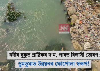 নদীৰ বুকুত প্লাষ্টিকৰ দ’ম, পাৰত বিলাসী তোৰণ: ডুমডুমাত উন্নয়নৰ ফোপোলা স্বৰূপ!