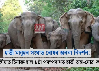 হাতী-মানুহৰ সংঘাত ৰোধৰ অনন্য নিদৰ্শন: তিনিচুকীয়াত চিনাক্ত হ’ল ৮টা পৰম্পৰাগত হাতী অহা-যোৱা কৰা পথ