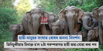 হাতী-মানুহৰ সংঘাত ৰোধৰ অনন্য নিদৰ্শন: তিনিচুকীয়াত চিনাক্ত হ’ল ৮টা পৰম্পৰাগত হাতী অহা-যোৱা কৰা পথ