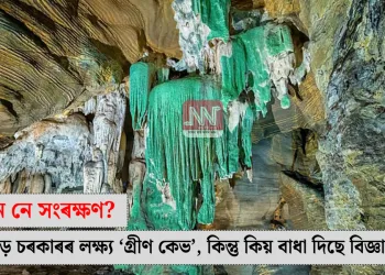 পৰ্যটন নে সংৰক্ষণ? ছত্তীশগড় চৰকাৰৰ লক্ষ্য ‘গ্ৰীণ কেভ’, কিন্তু কিয় বাধা দিছে বিজ্ঞানীসকলে?