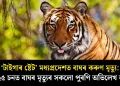 ‘টাইগাৰ ষ্টেট’ মধ্যপ্ৰদেশত বাঘৰ কৰুণ মৃত্যু: ২০২৫ চনত বাঘৰ মৃত্যুৰ সকলো পুৰণি অভিলেখ ভংগ