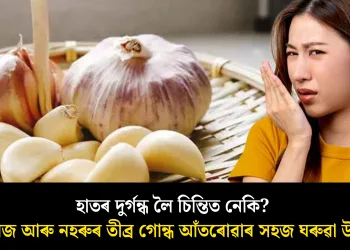 হাতৰ দুৰ্গন্ধ লৈ চিন্তিত নেকি? পিয়াজ আৰু নহৰুৰ তীব্ৰ গোন্ধ আঁতৰোৱাৰ সহজ ঘৰুৱা উপায়