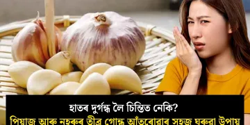 হাতৰ দুৰ্গন্ধ লৈ চিন্তিত নেকি? পিয়াজ আৰু নহৰুৰ তীব্ৰ গোন্ধ আঁতৰোৱাৰ সহজ ঘৰুৱা উপায়