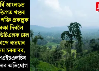 কাৰ্বি আংলঙত ব্যক্তিগত খণ্ডৰ বৃহৎ শক্তি প্ৰকল্পক সুৰক্ষা দিবলৈ এপিডিচিএলক ঢাল হিচাপে ব্যৱহাৰ অসম চৰকাৰৰ, এপিএইচএলচিৰ গুৰুতৰ অভিযোগ