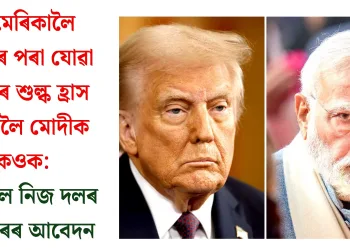 আমেৰিকালৈ ভাৰতৰ পৰা যোৱা দাইলৰ শুল্ক হ্ৰাস কৰিবলৈ মোদীক কওক: ট্ৰাম্পলৈ নিজ দলৰ চিনেটৰৰ আবেদন