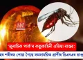 ‘জুৰাচিক পাৰ্ক’ৰ কল্পকাহিনী এতিয়া বাস্তৱ: ম’হৰ শৰীৰত পোৱা গৈছে সমসাময়িক প্ৰাণীৰ ডিএনএৰ ভাণ্ডাৰ
