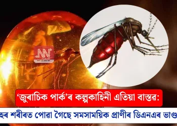 ‘জুৰাচিক পাৰ্ক’ৰ কল্পকাহিনী এতিয়া বাস্তৱ: ম’হৰ শৰীৰত পোৱা গৈছে সমসাময়িক প্ৰাণীৰ ডিএনএৰ ভাণ্ডাৰ