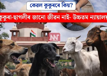 কেৱল কুকুৰৰে কিয়? কুকুৰা-ছাগলীৰ জানো জীৱন নাই- উচ্চতম ন্যায়ালয়
