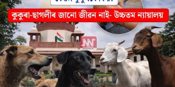 কেৱল কুকুৰৰে কিয়? কুকুৰা-ছাগলীৰ জানো জীৱন নাই- উচ্চতম ন্যায়ালয়