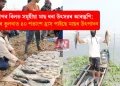 দীপৰ বিলত সমূহীয়া মাছ ধৰা উৎসৱৰ আৰম্ভণি; পূৰ্বৰ তুলনাত ৪০ শতাংশ হ্ৰাস পাইছে মাছৰ উৎপাদন