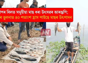 দীপৰ বিলত সমূহীয়া মাছ ধৰা উৎসৱৰ আৰম্ভণি; পূৰ্বৰ তুলনাত ৪০ শতাংশ হ্ৰাস পাইছে মাছৰ উৎপাদন