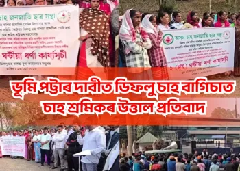 ভূমি পট্টাৰ দাবীত ডিফলু চাহ বাগিচাত চাহ শ্ৰমিকৰ উত্তাল প্ৰতিবাদ