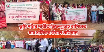ভূমি পট্টাৰ দাবীত ডিফলু চাহ বাগিচাত চাহ শ্ৰমিকৰ উত্তাল প্ৰতিবাদ
