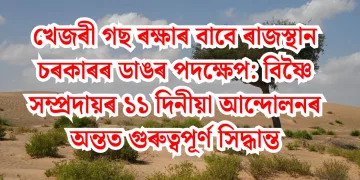 খেজৰী গছ ৰক্ষাৰ বাবে ৰাজস্থান চৰকাৰৰ ডাঙৰ পদক্ষেপ: বিষ্ণৈ সম্প্ৰদায়ৰ ১১ দিনীয়া আন্দোলনৰ অন্তত গুৰুত্বপূৰ্ণ সিদ্ধান্ত