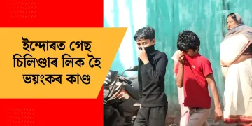 ইন্দোৰত গেছ চিলিণ্ডাৰ লিক হৈ ভয়ংকৰ কাণ্ড