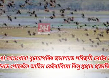 কাজিৰঙা-লাওখোৱা-বুঢ়াচাপৰিৰ জলাশয়ত পৰিভ্ৰমী চৰাইৰ ভিৰ: গণনাত পোহৰলৈ আহিল কেইবাবিধো বিলুপ্তপ্ৰায় প্ৰজাতি