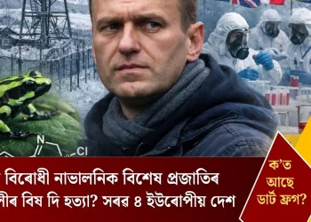 পুটিন বিৰোধী নাভালনিক বিশেষ প্ৰজাতিৰ ভেকুলীৰ বিষ দি হত্যা? সৰৱ ৪ ইউৰোপীয় দেশ, ক’ত আছে ডাৰ্ট ফ্ৰগ?