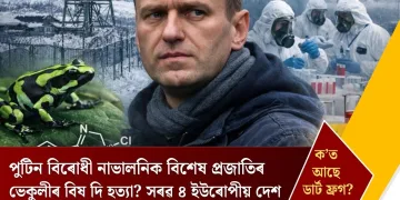 পুটিন বিৰোধী নাভালনিক বিশেষ প্ৰজাতিৰ ভেকুলীৰ বিষ দি হত্যা? সৰৱ ৪ ইউৰোপীয় দেশ, ক’ত আছে ডাৰ্ট ফ্ৰগ?
