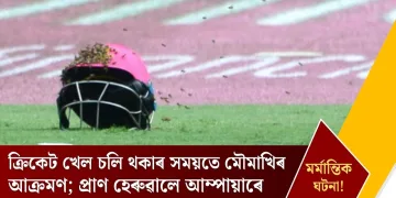 মৰ্মান্তিক ঘটনা! ক্ৰিকেট খেল চলি থকাৰ সময়তে মৌমাখিৰ আক্ৰমণ; প্ৰাণ হেৰুৱালে আম্পায়াৰে