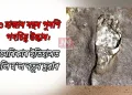 ২৩ হাজাৰ বছৰ পুৰণি পদচিহ্ন উদ্ধাৰ: আমেৰিকাৰ ইতিহাসত মুকলি হ’ল নতুন দুৱাৰ