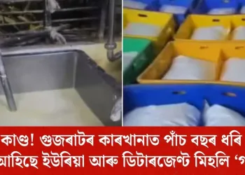 গুজৰাটৰ কাৰখানাত পাঁচ বছৰ ধৰি তৈয়াৰ কৰি আহিছে ইউৰিয়া আৰু ডিটাৰজেণ্ট মিহলি ‘গাখীৰ’