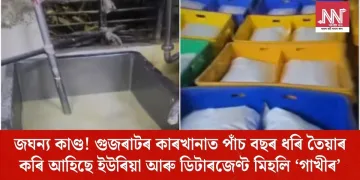 গুজৰাটৰ কাৰখানাত পাঁচ বছৰ ধৰি তৈয়াৰ কৰি আহিছে ইউৰিয়া আৰু ডিটাৰজেণ্ট মিহলি ‘গাখীৰ’