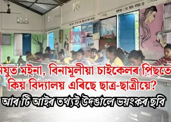 নিযুত মইনা, বিনামূলীয়া চাইকেলৰ পিছতো কিয় বিদ্যালয় এৰিছে ছাত্ৰ-ছাত্ৰীয়ে? আৰ টি আইৰ তথ্যই উদঙালে ভয়ংকৰ ছবি