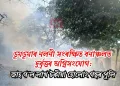 ডুমডুমাৰ নলনী সংৰক্ষিত বনাঞ্চলত দুৰ্বৃত্তৰ অগ্নিসংযোগ: জাহ গ’ল লাখ টকীয়া হোলোং গছৰ পুলি