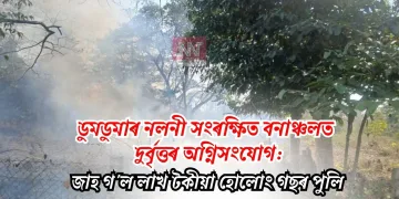 ডুমডুমাৰ নলনী সংৰক্ষিত বনাঞ্চলত দুৰ্বৃত্তৰ অগ্নিসংযোগ: জাহ গ’ল লাখ টকীয়া হোলোং গছৰ পুলি