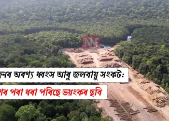 আমাজনৰ অৰণ্য ধ্বংস আৰু জলবায়ু সংকট: মহাকাশৰ পৰা ধৰা পৰিছে ভয়ংকৰ ছবি