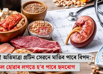 সাৱধান! অতিমাত্ৰা প্ৰটিন সেৱনে মাতিব পাৰে বিপদ: বৃক্ক বিকল হোৱাৰ লগতে হ’ব পাৰে হৃদৰোগ