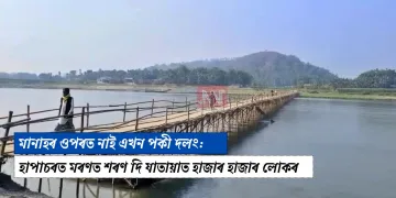 মানাহৰ ওপৰত নাই এখন পকী দলং: হাপাচৰত মৰণত শৰণ দি যাতায়াত হাজাৰ হাজাৰ লোকৰ