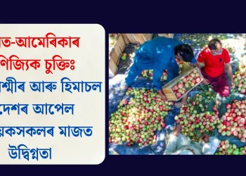 ভাৰত-আমেৰিকাৰ বাণিজ্যিক চুক্তিঃ জম্মু-কাশ্মীৰ আৰু হিমাচল প্ৰদেশৰ আপেল খেতিয়কসকলৰ মাজত উদ্বিগ্নতা