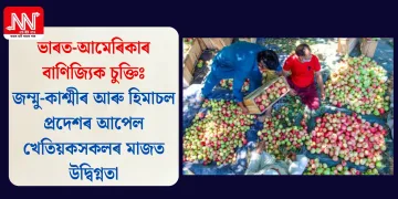 ভাৰত-আমেৰিকাৰ বাণিজ্যিক চুক্তিঃ জম্মু-কাশ্মীৰ আৰু হিমাচল প্ৰদেশৰ আপেল খেতিয়কসকলৰ মাজত উদ্বিগ্নতা
