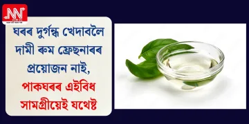 ঘৰৰ দুৰ্গন্ধ খেদাবলৈ দামী ৰুম ফ্ৰেছনাৰৰ প্ৰয়োজন নাই, পাকঘৰৰ এইবিধ সামগ্ৰীয়েই যথেষ্ট