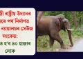 ৰাজাজী ৰাষ্ট্ৰীয় উদ্যানৰ মাজেৰে পথ নিৰ্মাণত উচ্চতম ন্যায়ালয়ৰ সেউজ সংকেত: উপকৃত হ’ব ৪০ হাজাৰ লোক