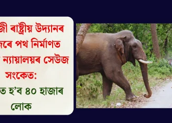 ৰাজাজী ৰাষ্ট্ৰীয় উদ্যানৰ মাজেৰে পথ নিৰ্মাণত উচ্চতম ন্যায়ালয়ৰ সেউজ সংকেত: উপকৃত হ’ব ৪০ হাজাৰ লোক