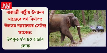 ৰাজাজী ৰাষ্ট্ৰীয় উদ্যানৰ মাজেৰে পথ নিৰ্মাণত উচ্চতম ন্যায়ালয়ৰ সেউজ সংকেত: উপকৃত হ’ব ৪০ হাজাৰ লোক