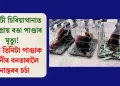 গুৱাহাটী চিৰিয়াখানাত বিলুপ্তপ্ৰায় ৰঙা পাণ্ডাৰ মৃত্যু! জীৱিত তিনিটা পাণ্ডাক আম্বানীৰ বনতাৰালৈ স্থানান্তৰৰ চৰ্চা