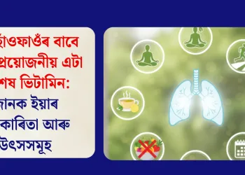 সুস্থ হাঁওফাওঁৰ বাবে অতি প্ৰয়োজনীয় এটা বিশেষ ভিটামিন: জানক ইয়াৰ উপকাৰিতা আৰু উৎসসমূহ