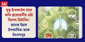 সুস্থ হাঁওফাওঁৰ বাবে অতি প্ৰয়োজনীয় এটা বিশেষ ভিটামিন: জানক ইয়াৰ উপকাৰিতা আৰু উৎসসমূহ