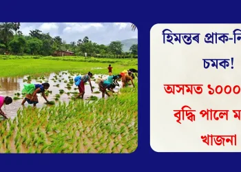 হিমন্তৰ প্ৰাক-নিৰ্বাচনী চমক! অসমত ১০০০% লৈ বৃদ্ধি পালে মাটিৰ খাজনা