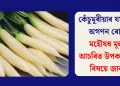 কেঁচুমূৰীয়াৰ যম আৰু অগণন ৰোগৰ মহৌষধ মূলাৰ আচৰিত উপকাৰিতাৰ বিষয়ে জানক
