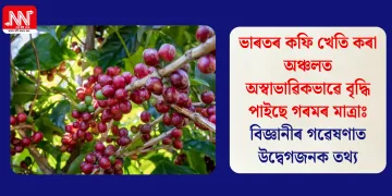 ভাৰতৰ কফি খেতি কৰা অঞ্চলত অস্বাভাৱিকভাৱে বৃদ্ধি পাইছে গৰমৰ মাত্ৰাঃ বিজ্ঞানীৰ গৱেষণাত উদ্বেগজনক তথ্য
