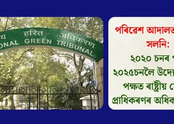 পৰিৱেশ আদালতৰ স্থিতি সলনি: ২০২০ চনৰ পৰা ২০২৫চনলৈ উদ্যোগপতিৰ পক্ষত ৰাষ্ট্ৰীয় সেউজ প্ৰাধিকৰণৰ অধিক ৰায়দান